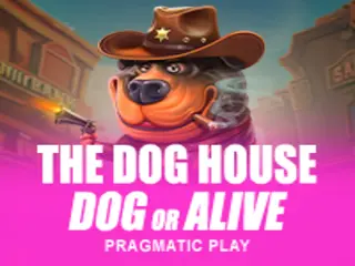 pp image